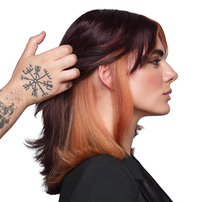 Loreal Professionale French Balayage