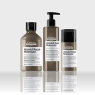 absolut repair