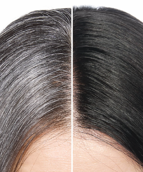 Loreal Majirel